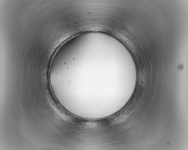 X0000093560394200711051041