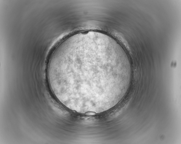 X0000093560395200711051041