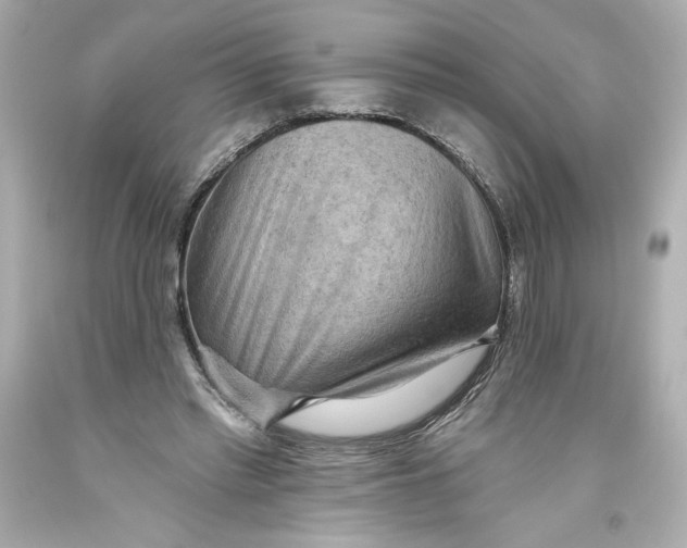 X0000093560397200711051041