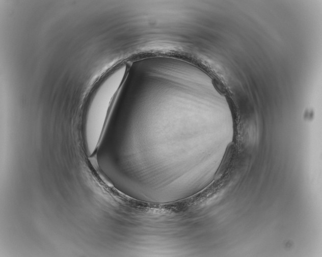 X0000093560399200711051041