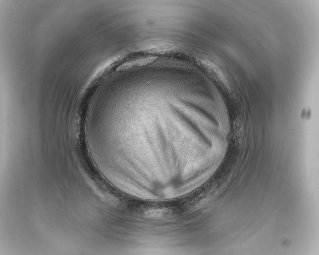 X0000093560400200711051041