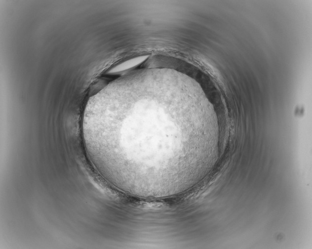 X0000093560401200711051041