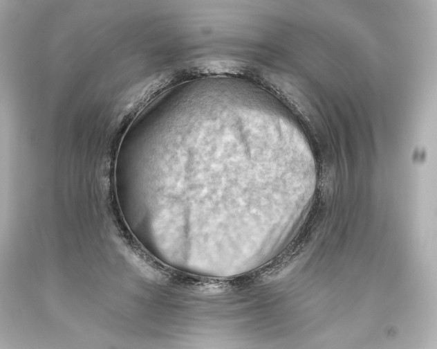 X0000093560402200711051041