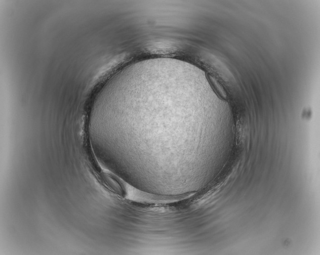 X0000093560404200711051041