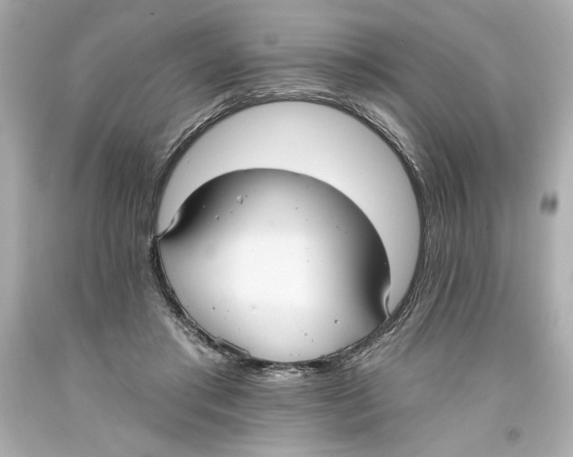 X0000093560405200711051041