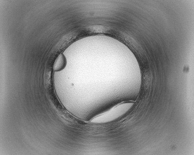 X0000093560406200711051041