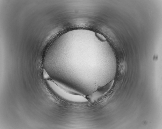 X0000093560407200711051041