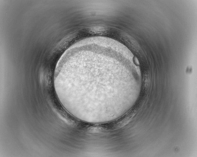 X0000093560408200711051041