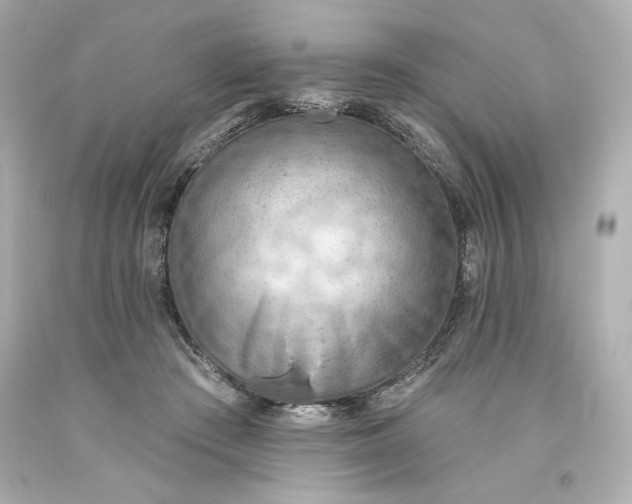 X0000093560409200711051041