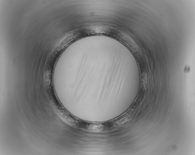 X0000093560410200711051041