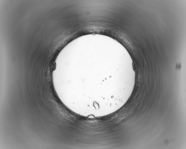 X0000093560411200711051041