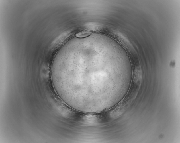 X0000093560413200711051041