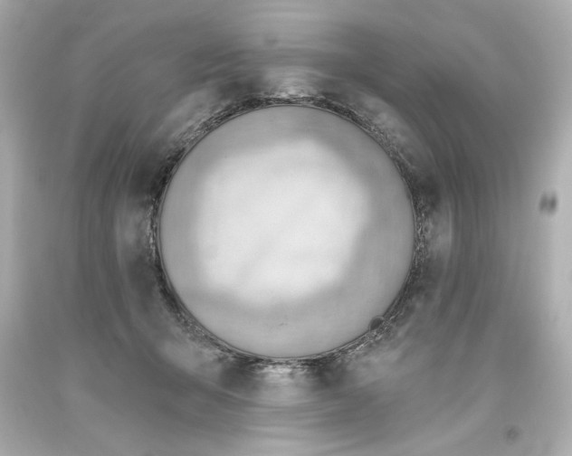 X0000093560415200711051041