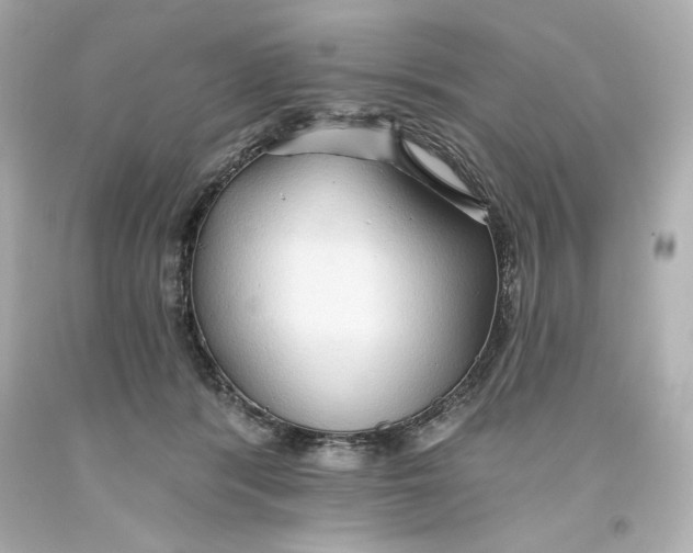 X0000093560416200711051041