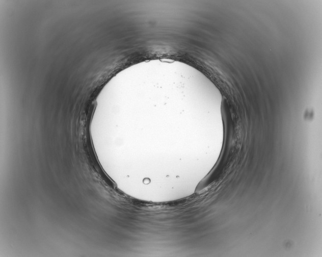 X0000093560417200711051041