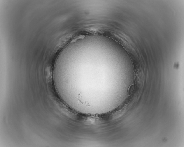 X0000093560420200711051041