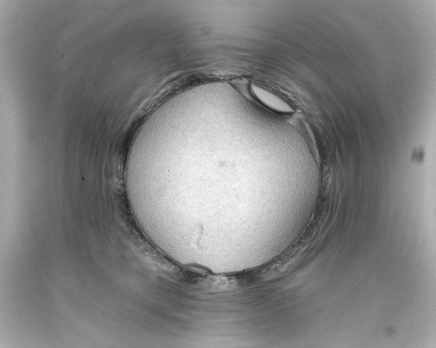 X0000093560421200711051041