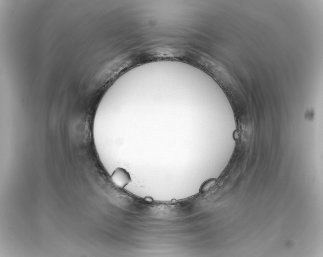 X0000093560422200711051041