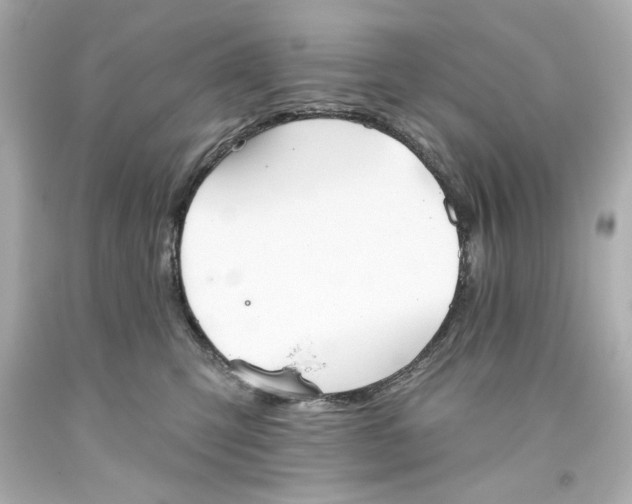 X0000093560423200711051041