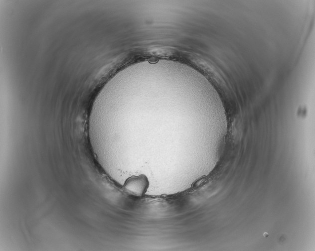 X0000093560424200711051041