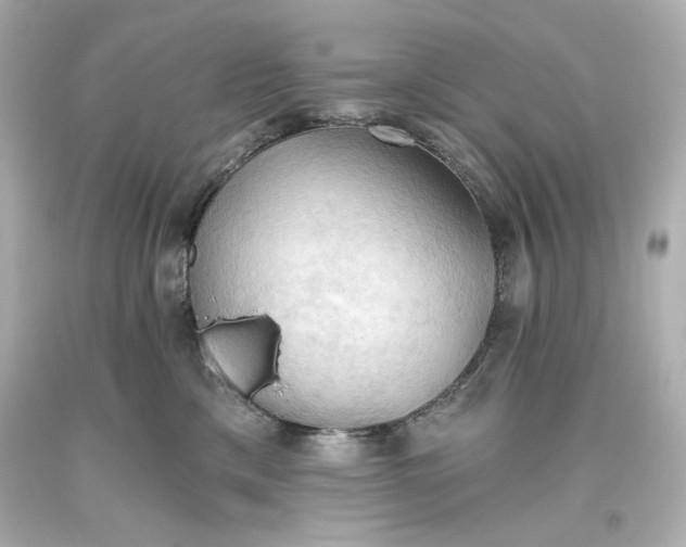 X0000093560425200711051041