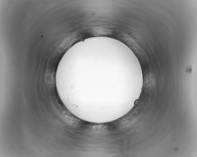 X0000093560426200711051041