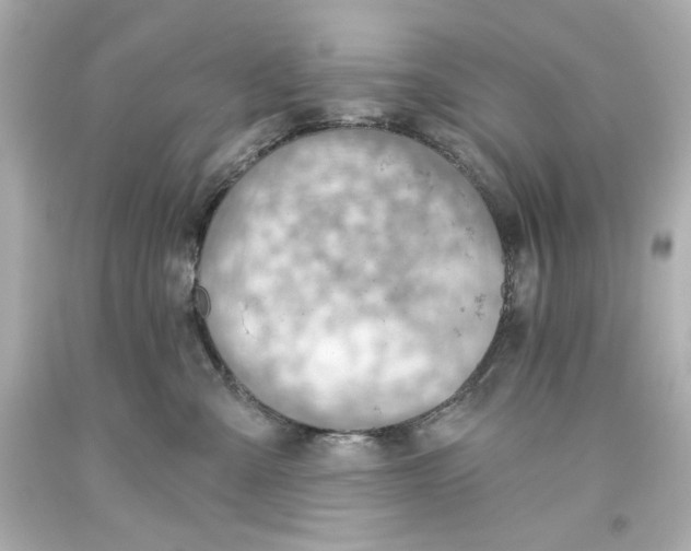 X0000093560427200711051041