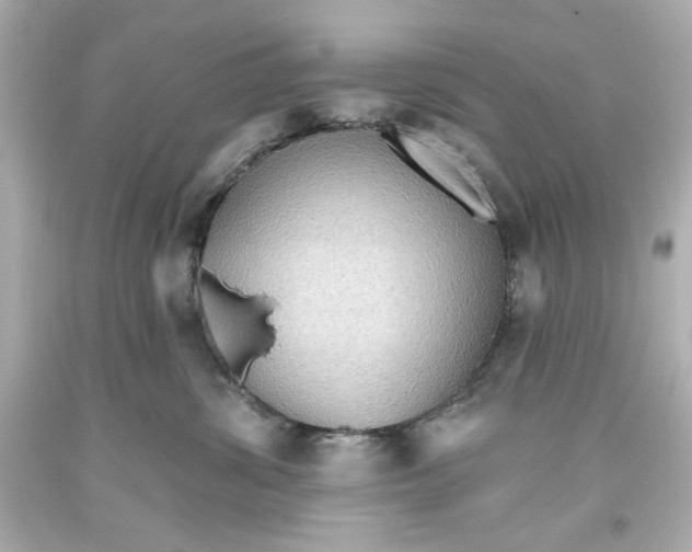 X0000093560428200711051041