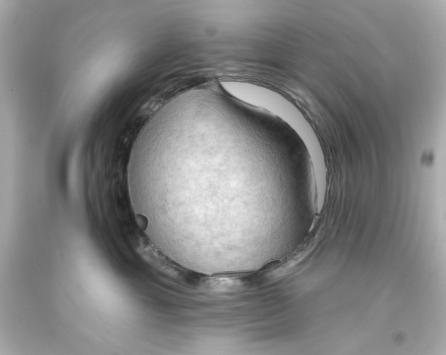 X0000093560429200711051041