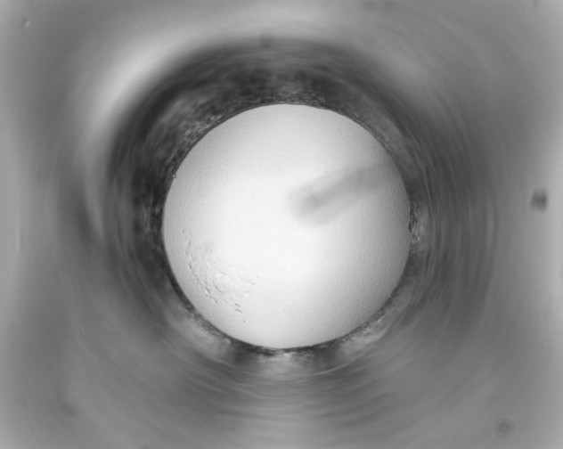 X0000093560430200711051041