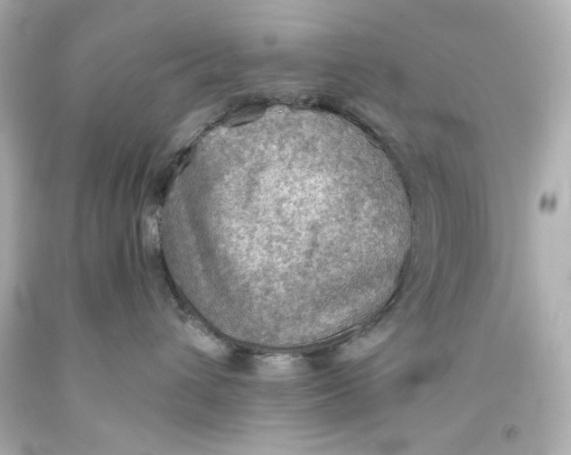 X0000093560432200711051041