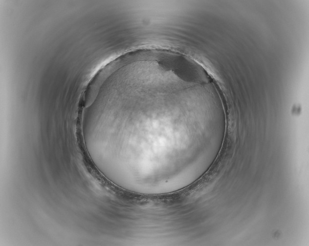 X0000093560434200711051040