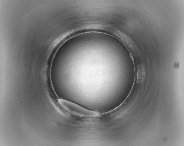 X0000093560436200711051040