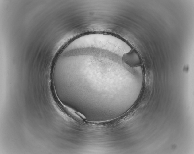 X0000093560438200711051040