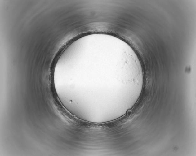 X0000093560439200711051040