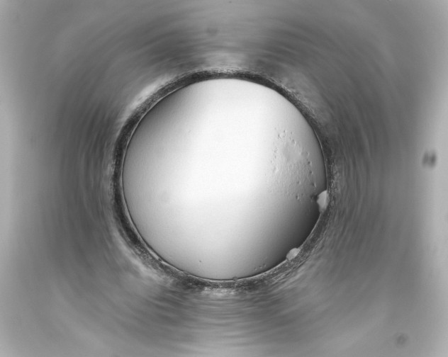 X0000093560440200711051040