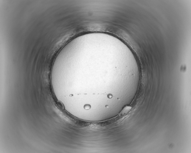 X0000093560441200711051040