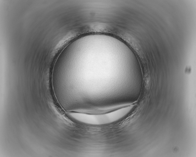 X0000093560442200711051040