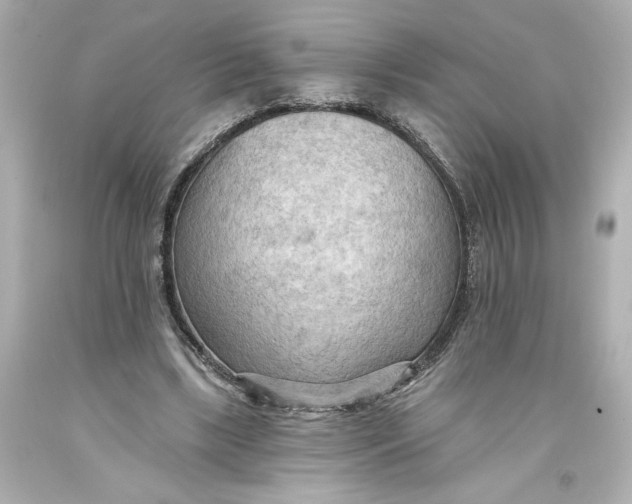 X0000093560443200711051040