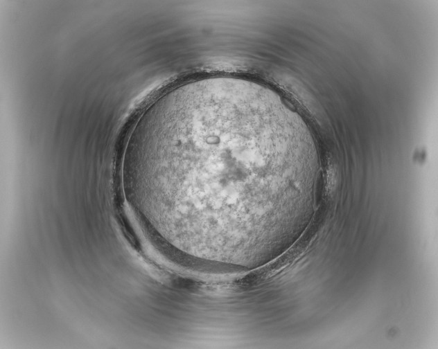 X0000093560444200711051040