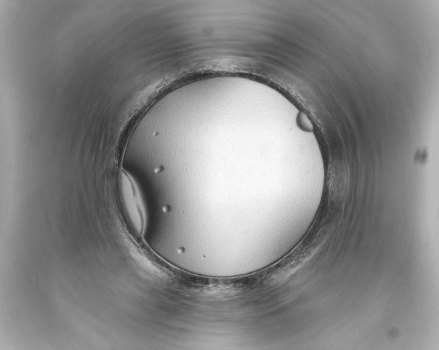 X0000093560445200711051040