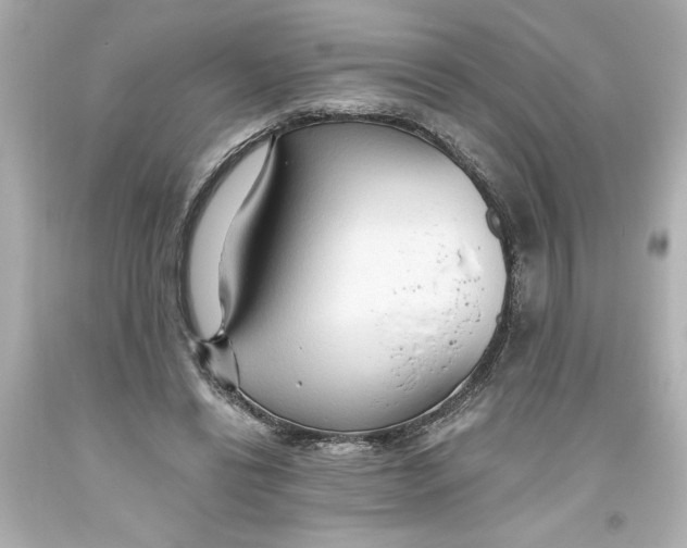 X0000093560446200711051040