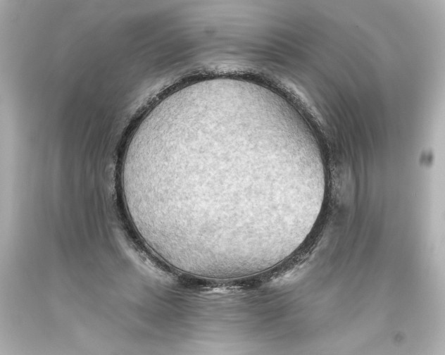 X0000093560447200711051040