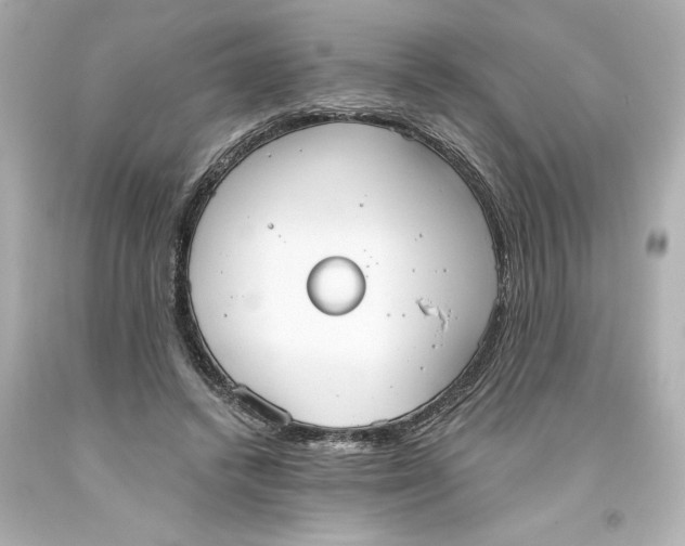 X0000093560448200711051040