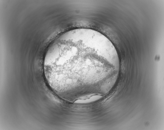 X0000093560449200711051040