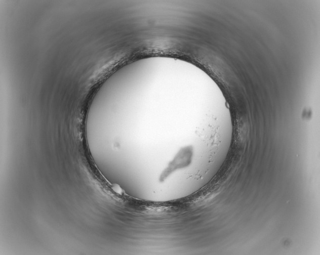 X0000093560450200711051040