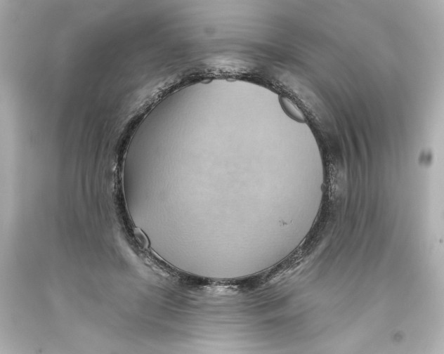 X0000093560451200711051041