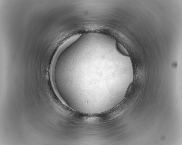 X0000093560452200711051041