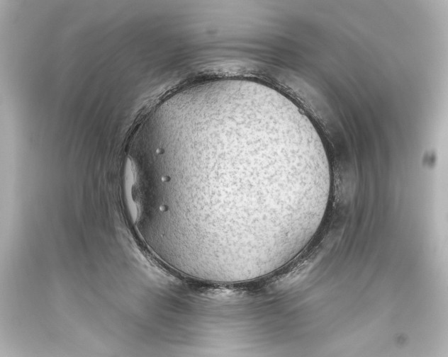 X0000093560453200711051041