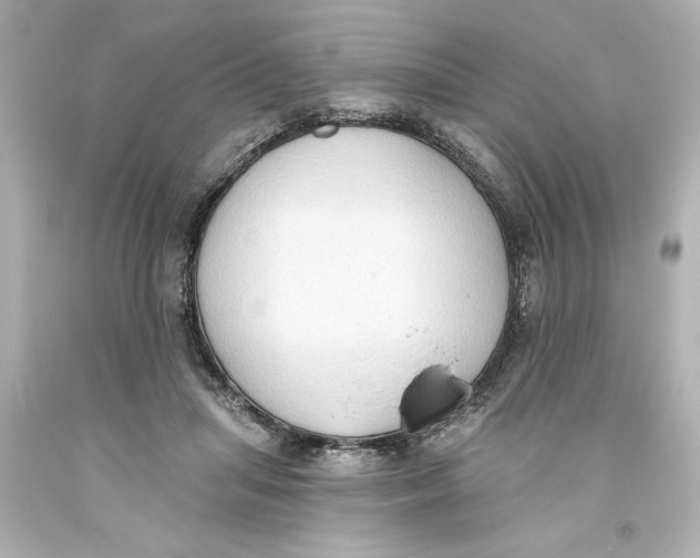 X0000093560455200711051041